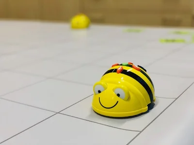 beebot-4096410_1280.jpg